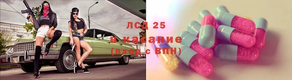 шишки Алзамай