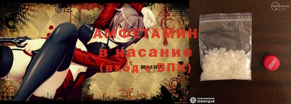 шишки Алзамай