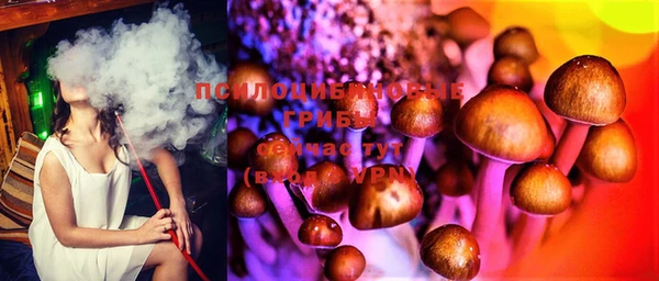 кокс Алексеевка