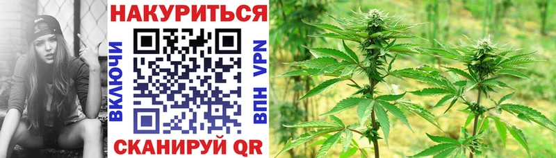 Канабис гибрид  Бабаево 